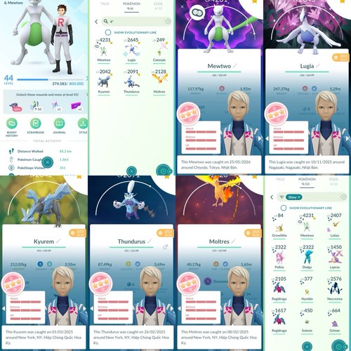 Pokemon shundo mewtwo - pokemon,