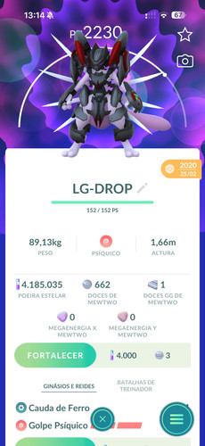 Pokémon mewtwo - pokémon, go