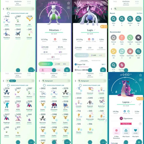Pokemon shundo mewtwo - go,