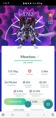 Pokemon corazzato mewtwo - pokemon,