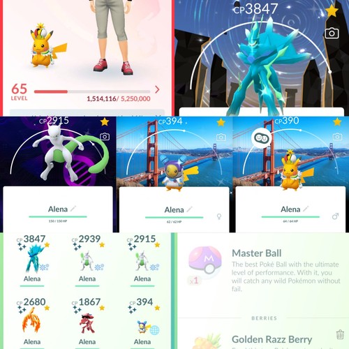 Pokémon acc shiny - go,